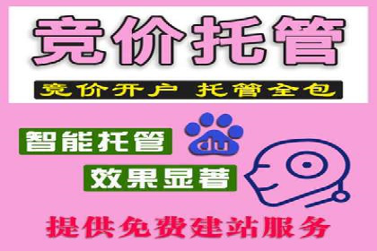 信息流广告投放策略及成功案例解析